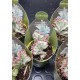 Euphorbia lactea white ghost 8,5