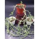 Senecio " peregrinus string of dolphins " 8,5